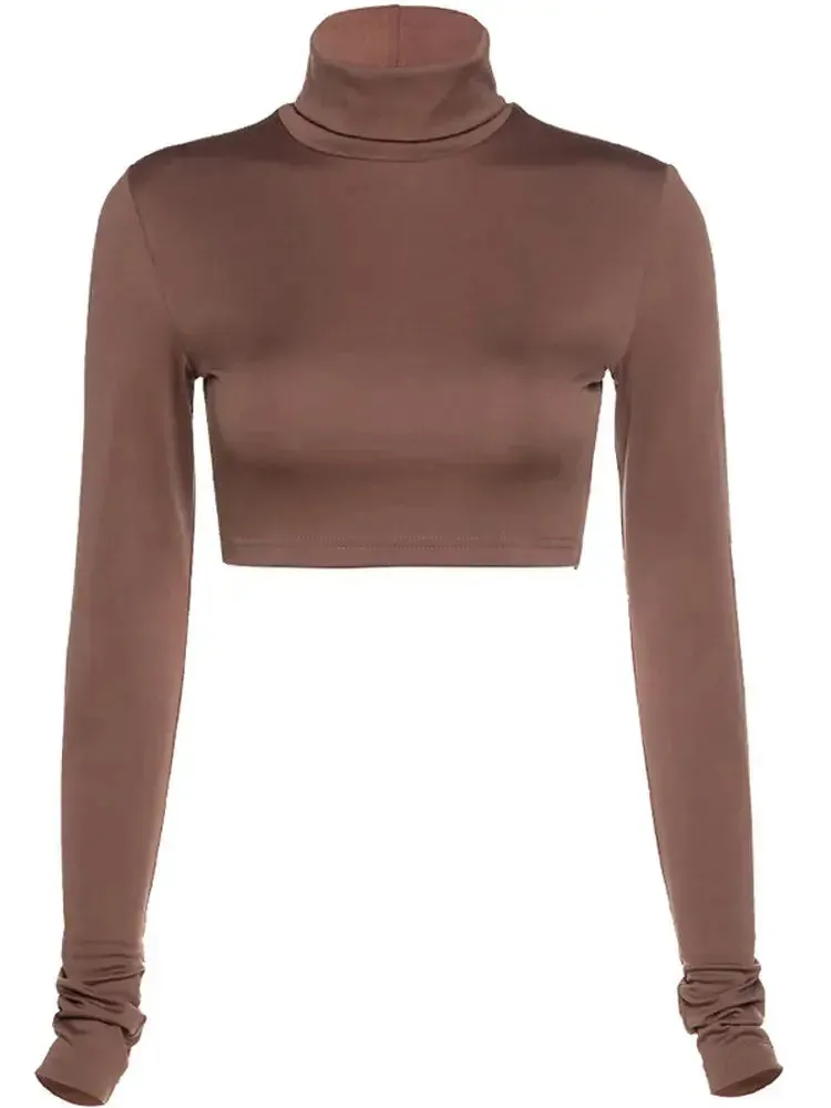 Solid Long Sleeve Turtleneck Crop Top